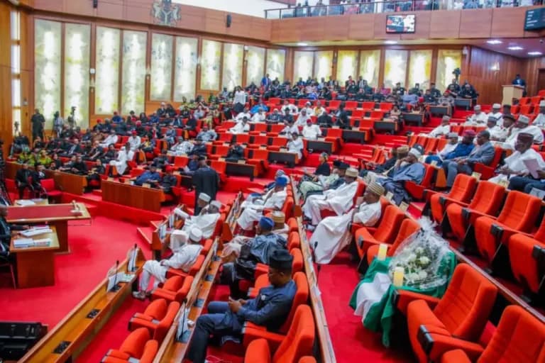 Senate Pushes Bill Requiring Facebook, TikTok to Establish Offices in Nigeria