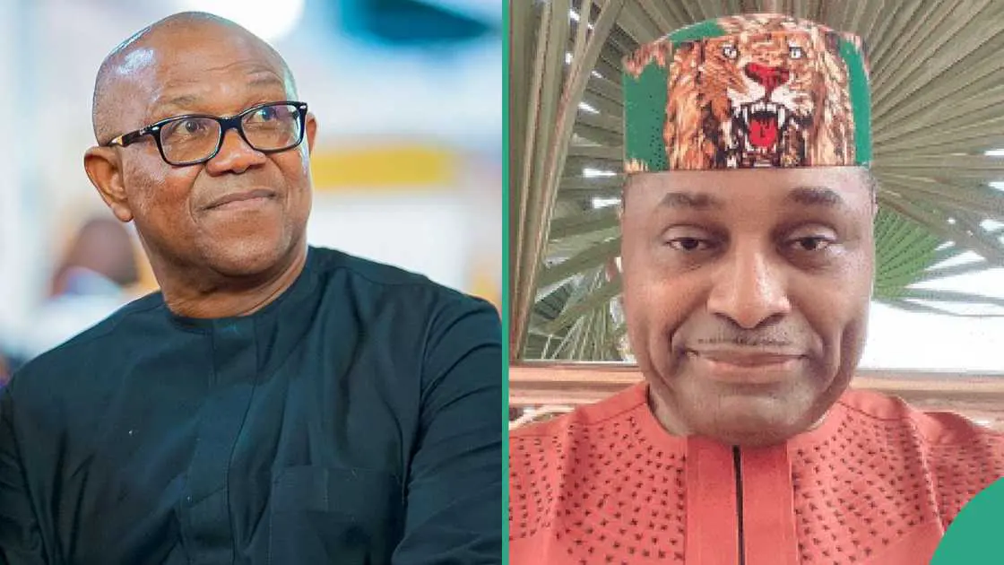 “They’ll Wave To Trees” — Okonkwo Mocks Obi, Others Over APM Event
