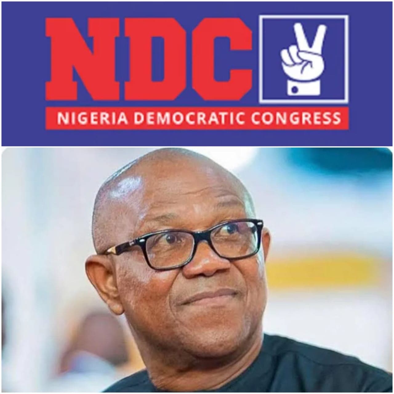 NDC Defends Obi’s Credentials, Challenges LP Chieftain Over Three Court Cases